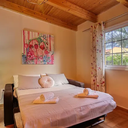 Tatil Evi Casa Vista Teide Con Jardin, Barbacoa Y Fuente Zen *